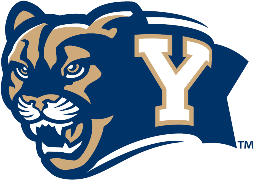 Brigham Young Cougars 2005-Pres Secondary Logo iron on transfers for clothing
